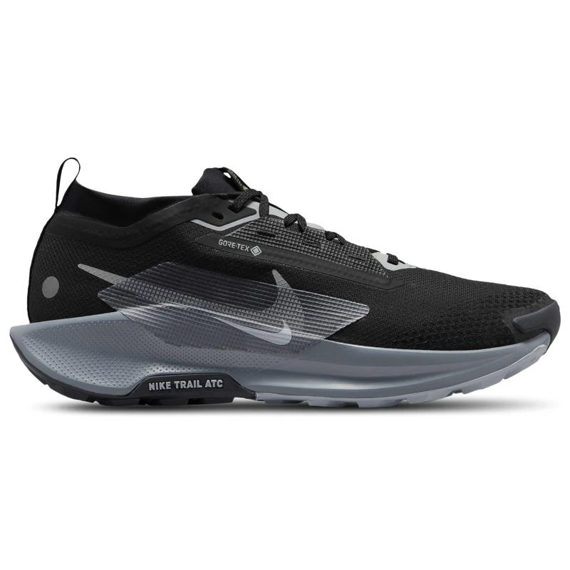 NIKE Nike Reactx Pegasus Trail 5 GTX - Men's 1