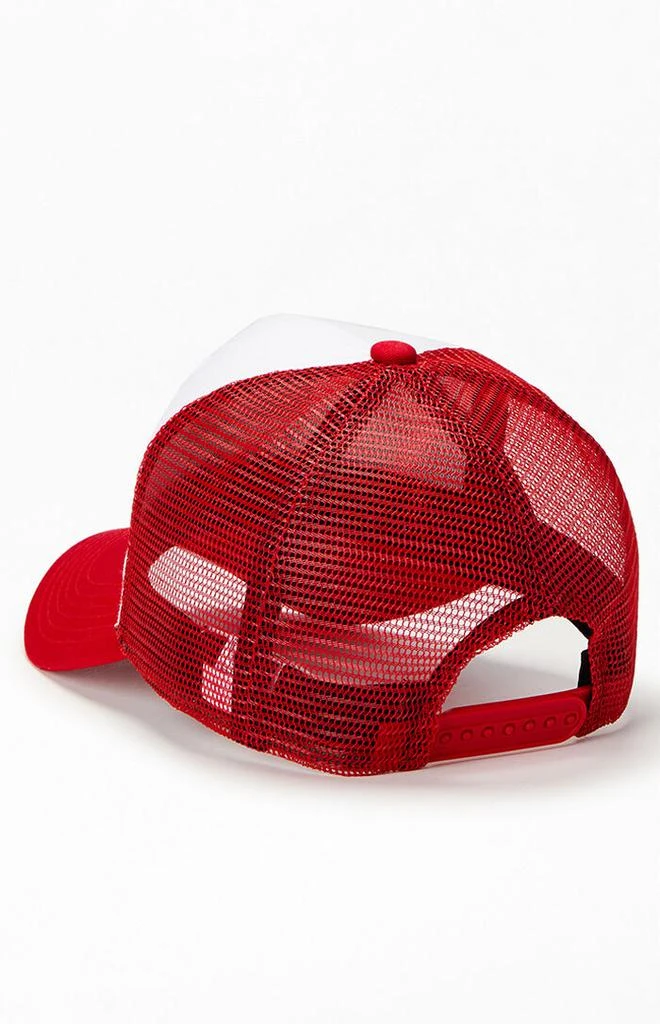 Olympics Team USA Trucker Hat 3