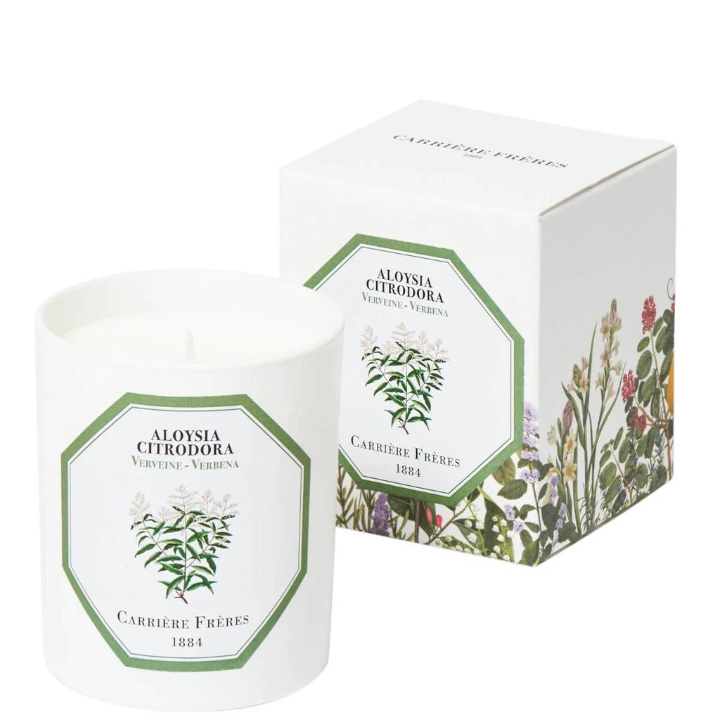 Carriere Freres Carrière Frères Aloysia Citrodora - Verbena 6.5 oz 2
