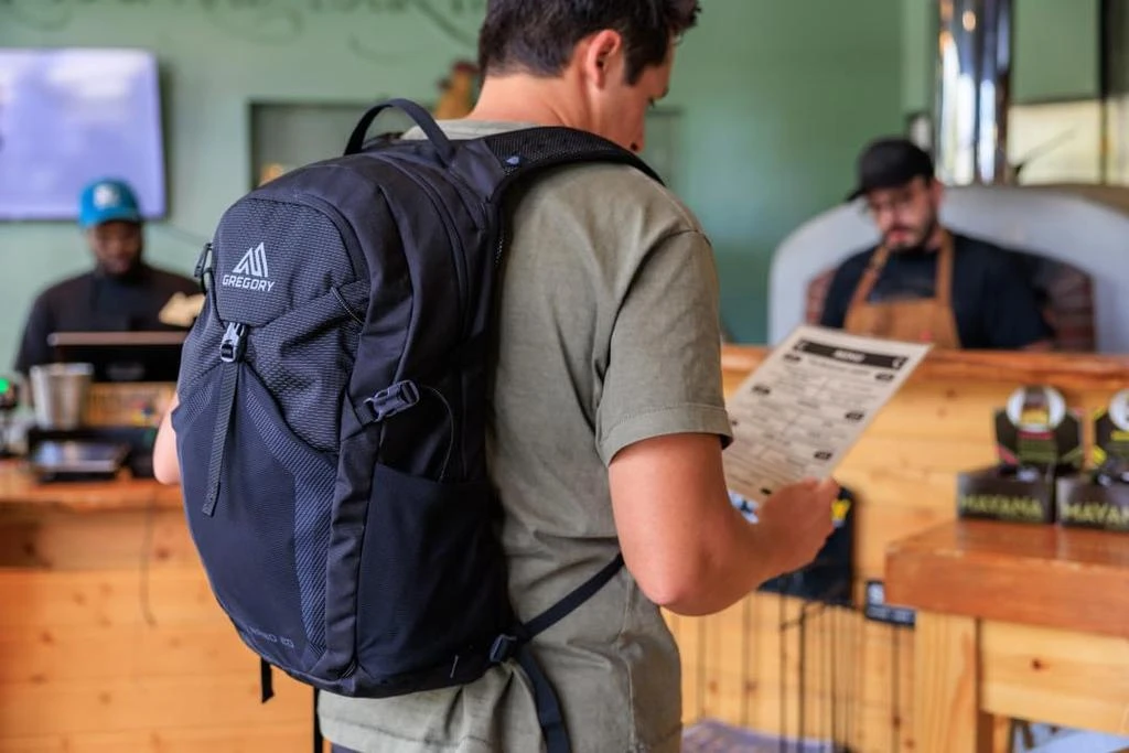 Gregory Gregory Nano 20L Plus Size Unisex Day Hiking/Commuter/Active Travel Backpack, Breathable Backpanel, Hydration Port, Plus Size, Optic Black 3