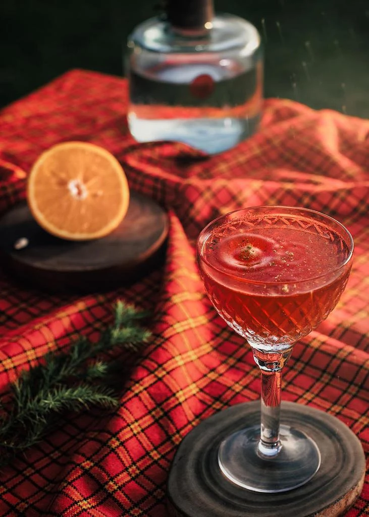 PROCERA GIN Red Dot 2023 3