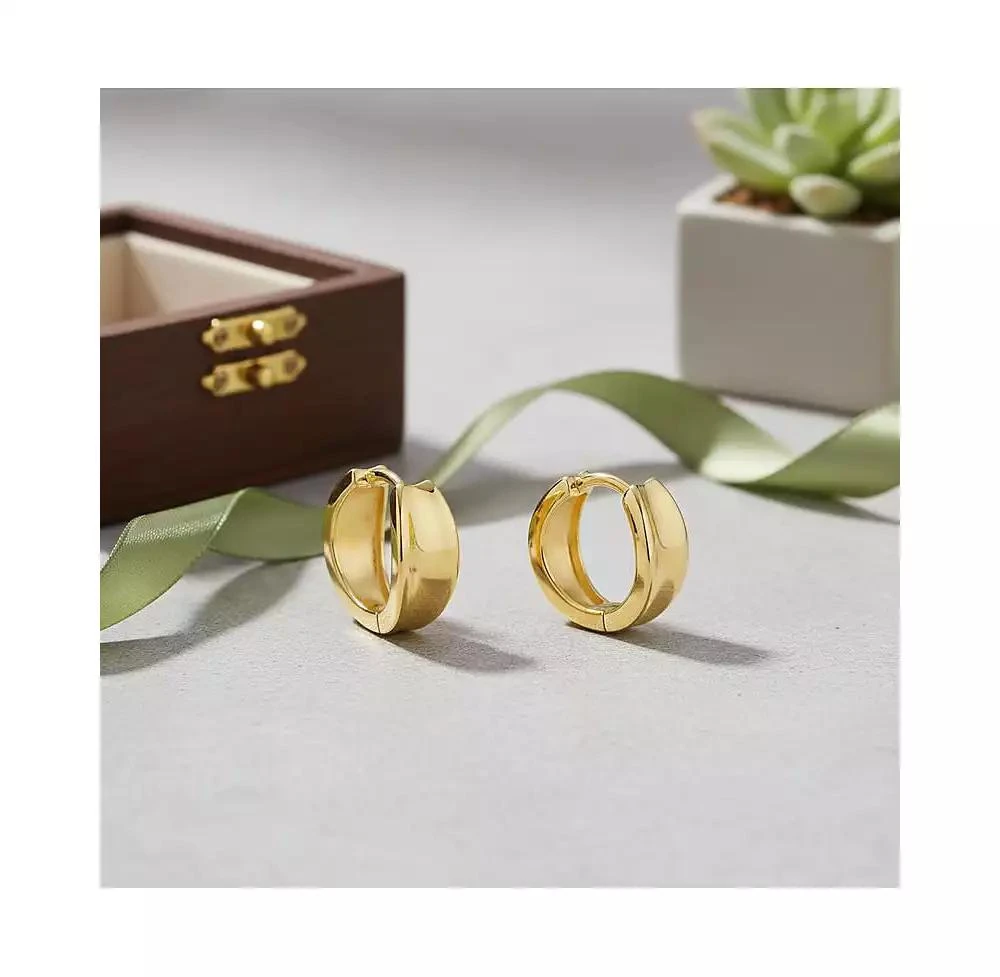Rachel Glauber Chic Small Huggie Hoop Earrings in 14K Gold Plated 2