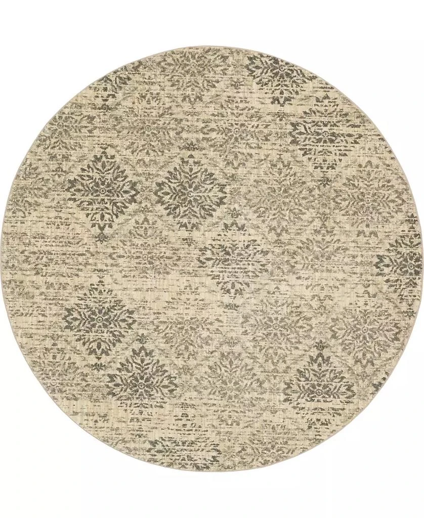 Karastan CLOSEOUT! Euphoria Wexford 8' x 8' Round Area Rug 1