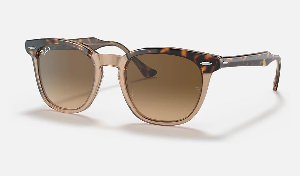 Ray-Ban HAWKEYE 1