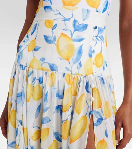 Alexandra Miro Jamie sheer maxi skirt 4