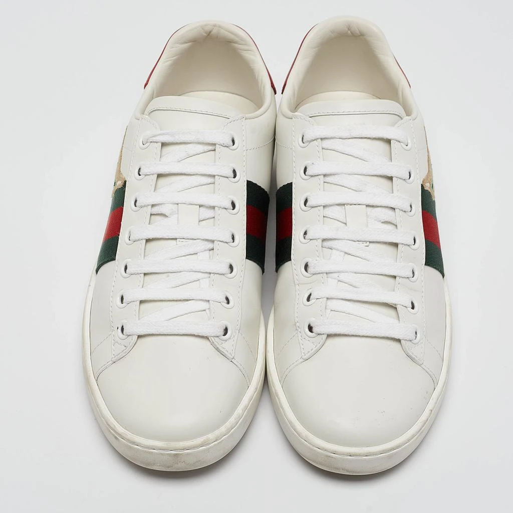Gucci Gucci White Leather Web Ace Low Top Sneakers Size 36 3