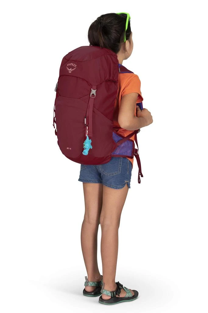 Osprey Osprey Jet 18 Kid
s Hiking Backpack 6
