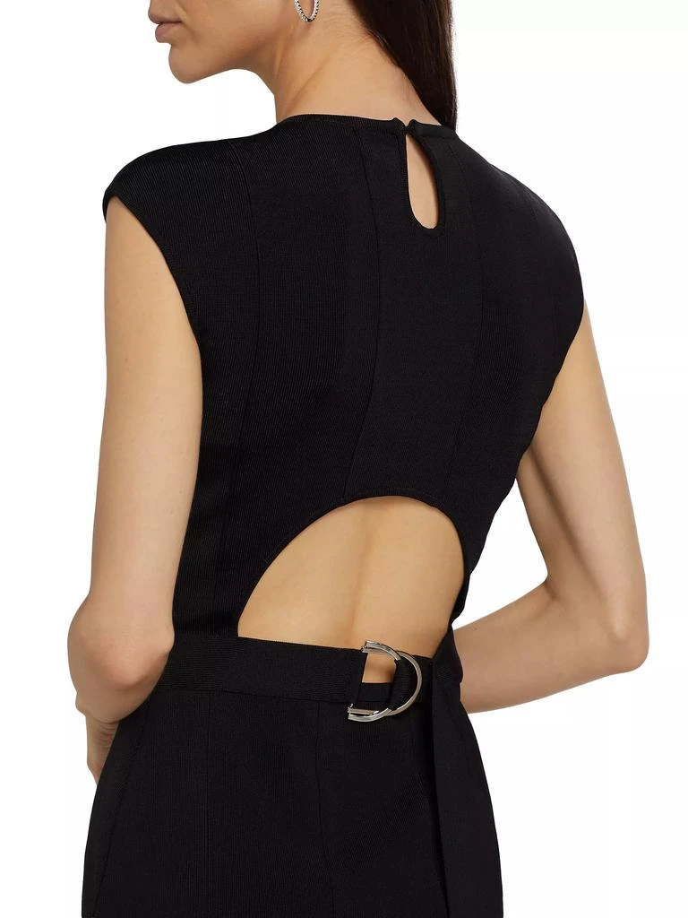 Herve Leger The Evelyn Dress 6