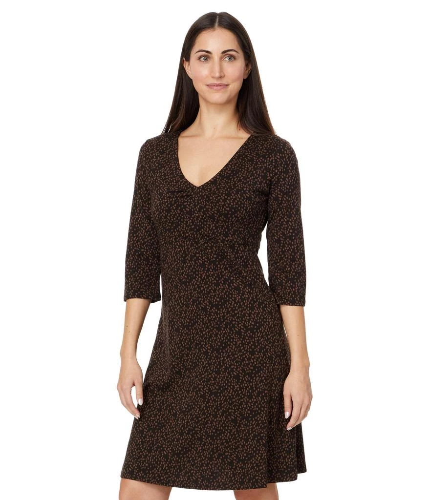 Toad & Co Rosalinda Dress 1