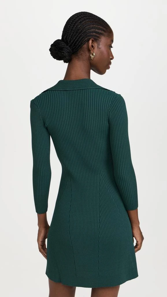 Shoshanna Robin Dress 2