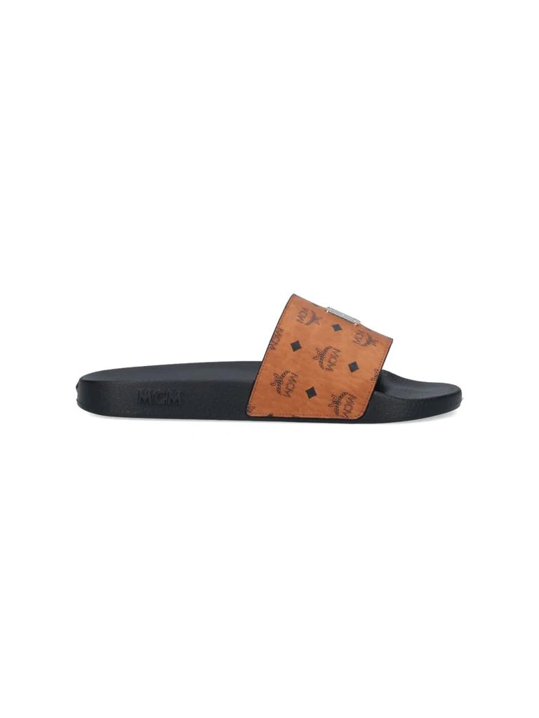 MCM Slides In Visetos 1