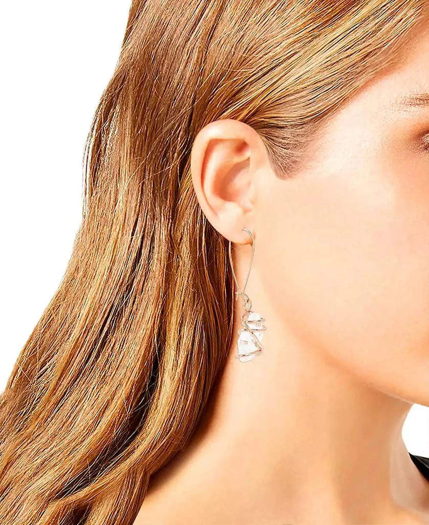 Robert Lee Morris Faux Stone Caged Dangle Earrings 3