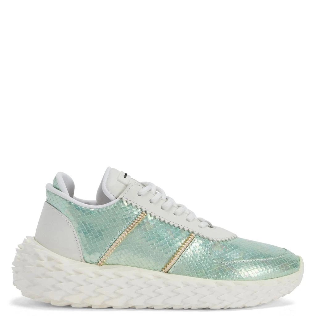 Giuseppe Zanotti Urchin 1