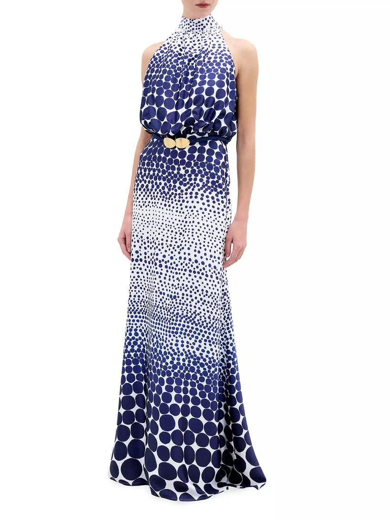 Silvia Tcherassi Damara Polka Dot Maxi Dress 2