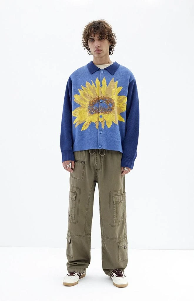 PacSun Baggy Canvas Cargo Pants 5