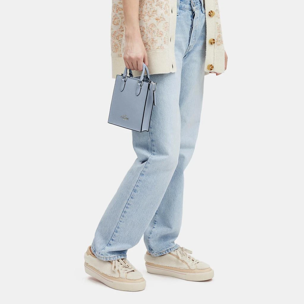 Coach North South Mini Tote 4
