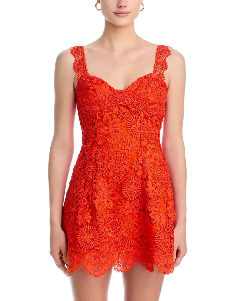 Waimari Trina Lace Dress 7