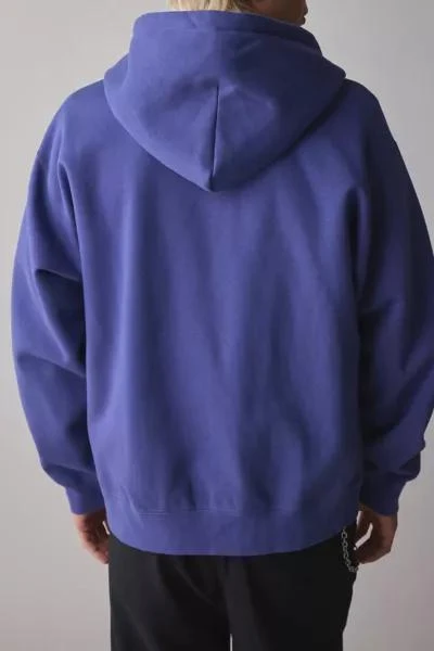 Obey OBEY Chance Graphic Zip-Up Hoodie Sweatshirt 2