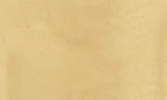 ADORNIA 14K Gold Plate Tall Cuff Bracelet 3