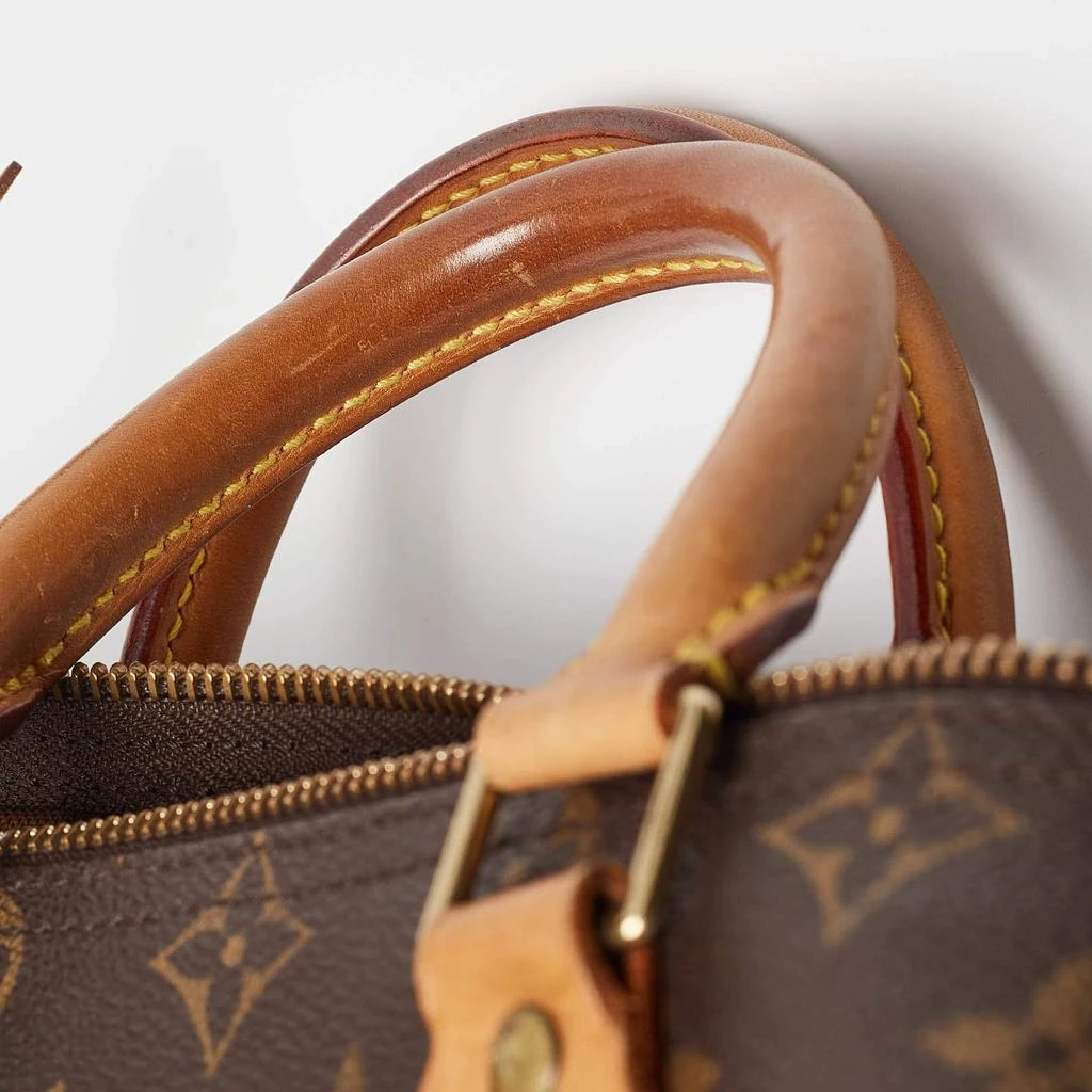 Louis Vuitton Louis Vuitton Monogram Canvas and Leather Speedy 25 Bag 8