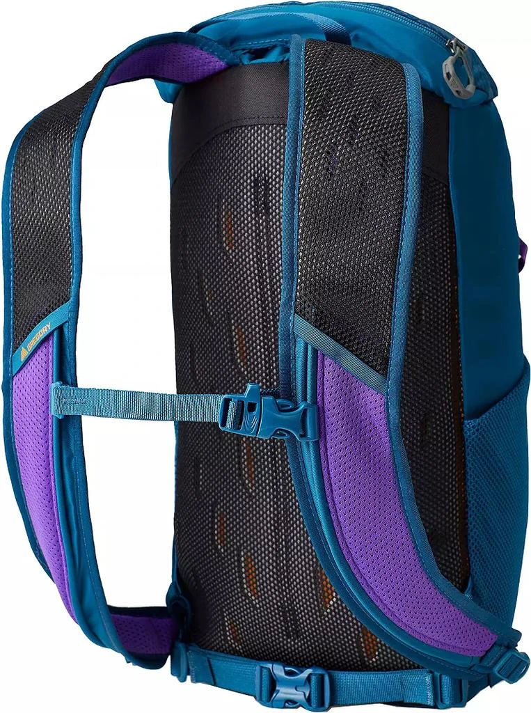 Gregory Gregory Nano 16 Plus Size Backpack 2