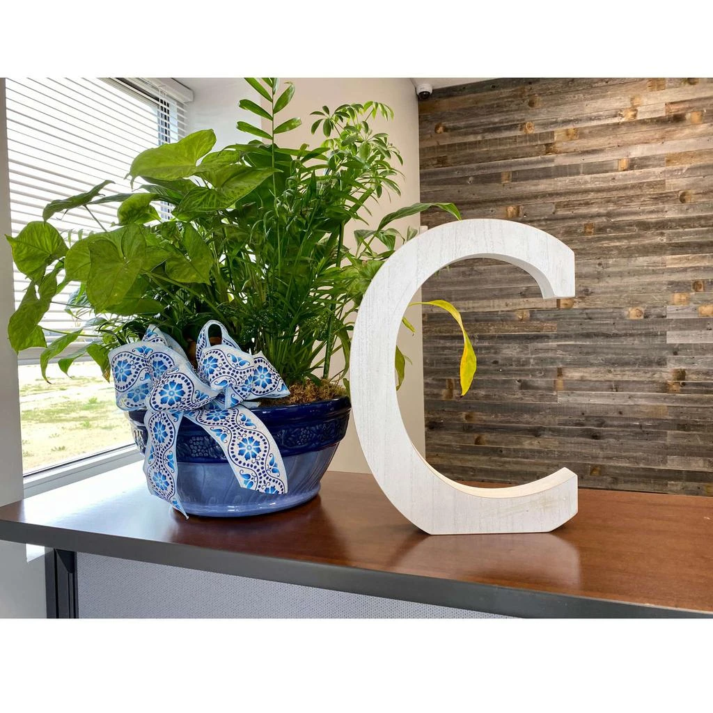 Hivvago 16" Distressed White Wash Wooden Initial Letter C Sculpture 5