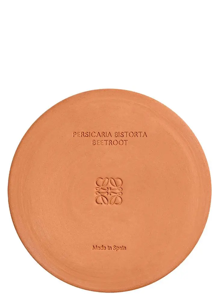 Loewe Beetroot Candle - Large 2120g 5