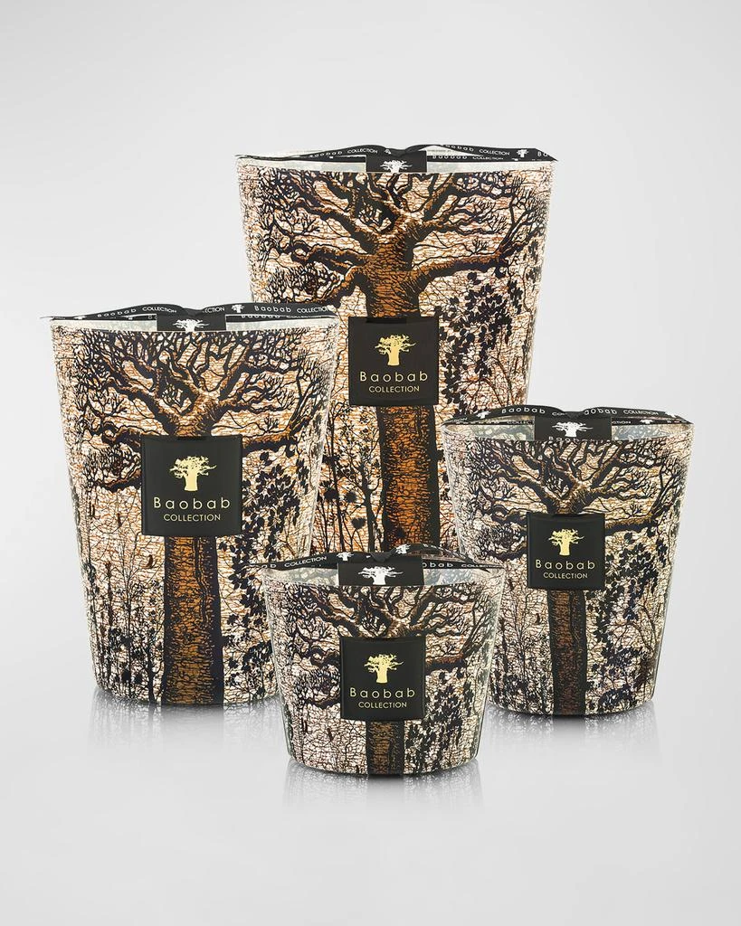 Baobab Collection Sacred Trees Morondo 7-Wick Max35 Candle