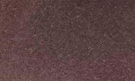 Cole Haan Norella Buckle Bootie 8