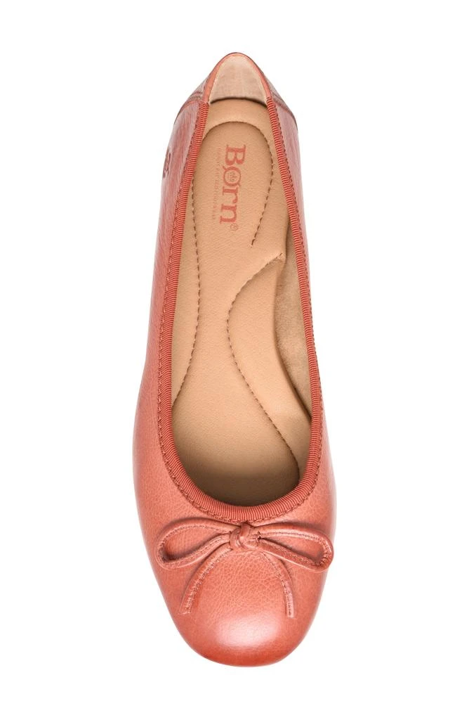 Børn Brin Ballet Flat 5