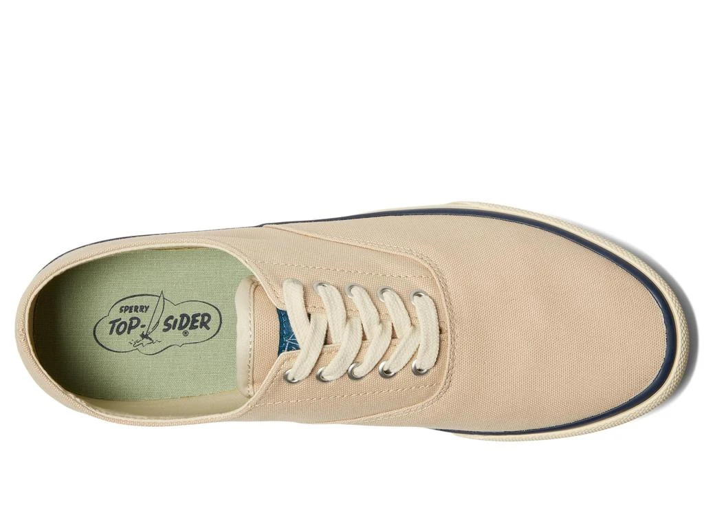 Sperry CVO Canvas 2