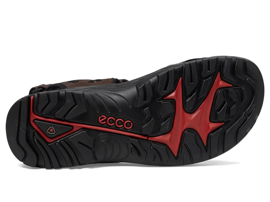 ECCO Yucatan 3