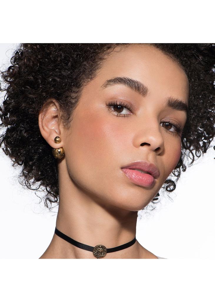 DIOR Dior Rouge Blush Satin