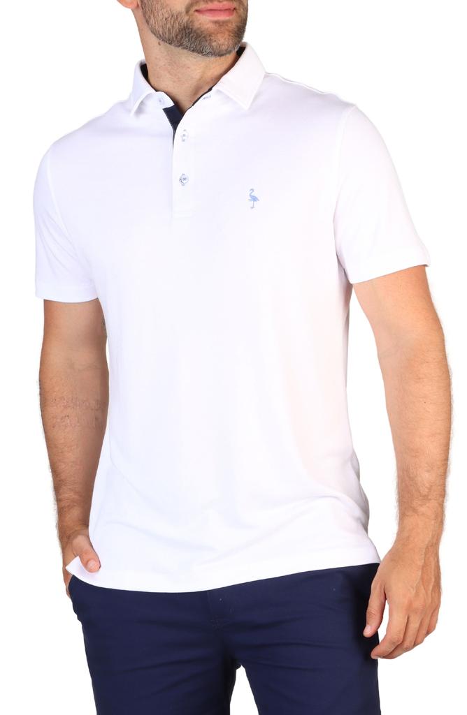 TailorByrd Solid Modal Polo