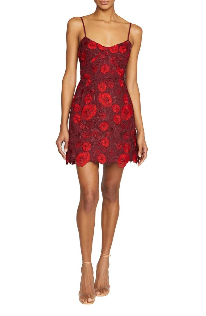 Shop Arielle Floral Embroidery Cocktail Minidress on Sale at
