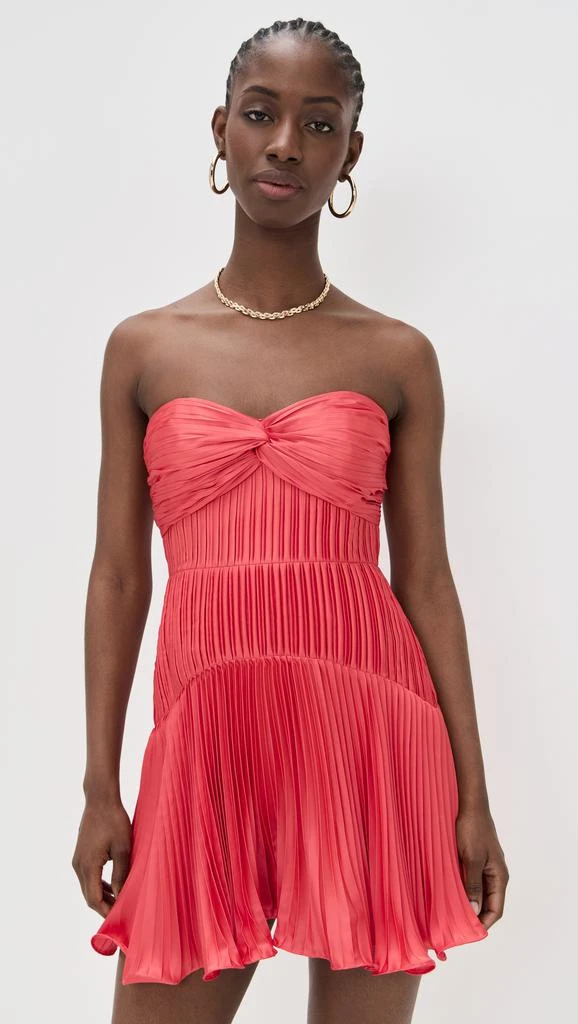 AMUR Catrina Mini Pleated Dress 1