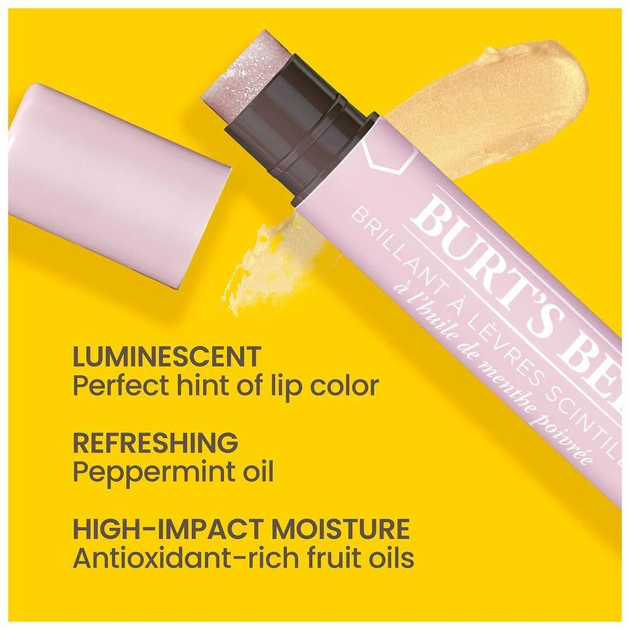 Burt's Bees Lip Shimmer 1 Tube 5