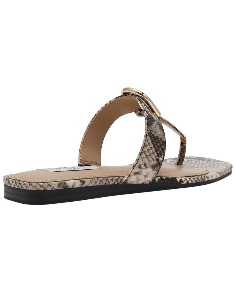 Steven STEVEN By Steve Madden Paava Sandal
