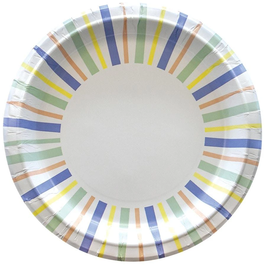 Complete Home Everyday Paper Plates 10 1/16 in 3