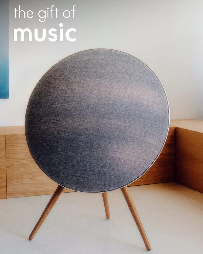 Bang & Olufsen Beosound A9 Speaker, 5th Generation 6