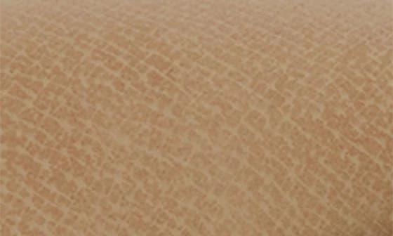 True Religion Mini Flap Crossbody Bag 6