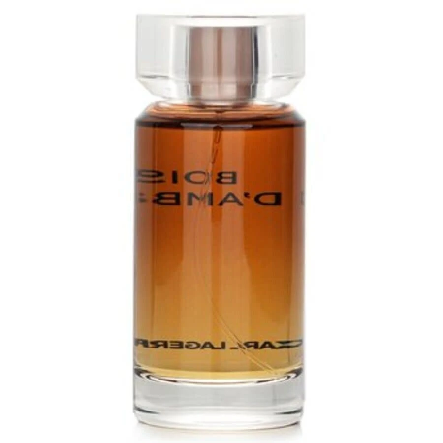 Karl Lagerfeld Paris Karl Lagerfeld Bois d'Ambre Mens EDT 3