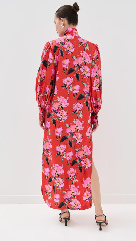 Borgo de Nor Dakota Maxi Dress