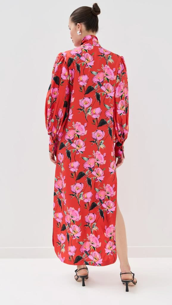 Borgo de Nor Dakota Maxi Dress 2