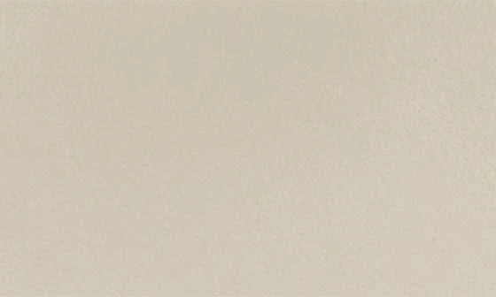 Helen Kaminski Blisse Wallet Clutch 3