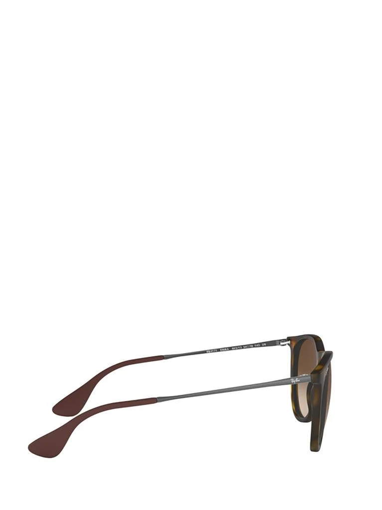 Ray-Ban Ray-Ban Erika Classic Oval Frame Sunglasses 3