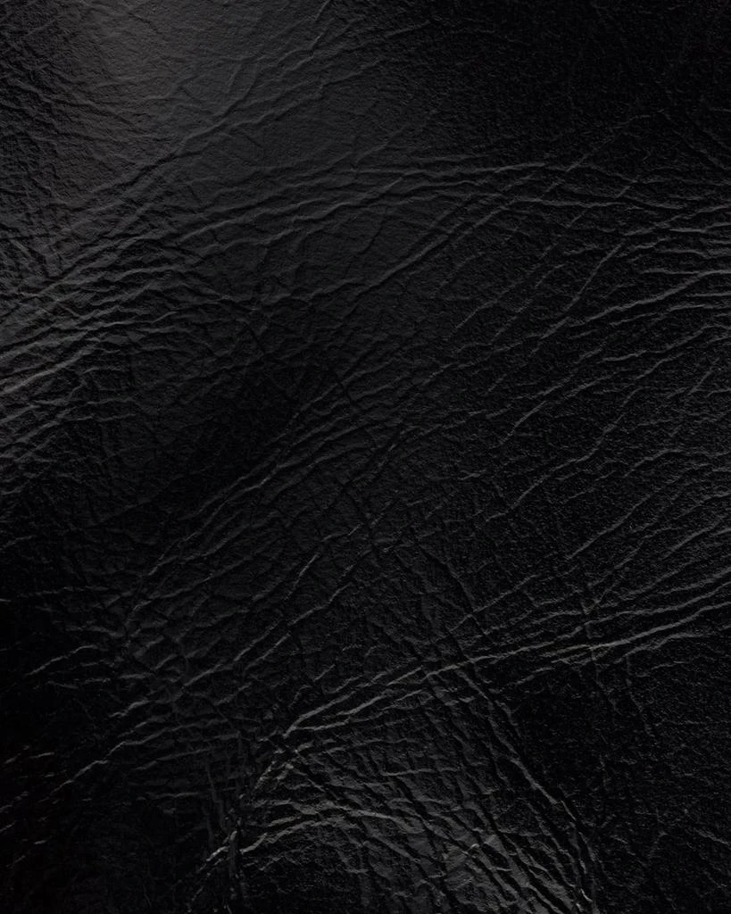 Prada Leather Wallet with Shoulder Strap 6