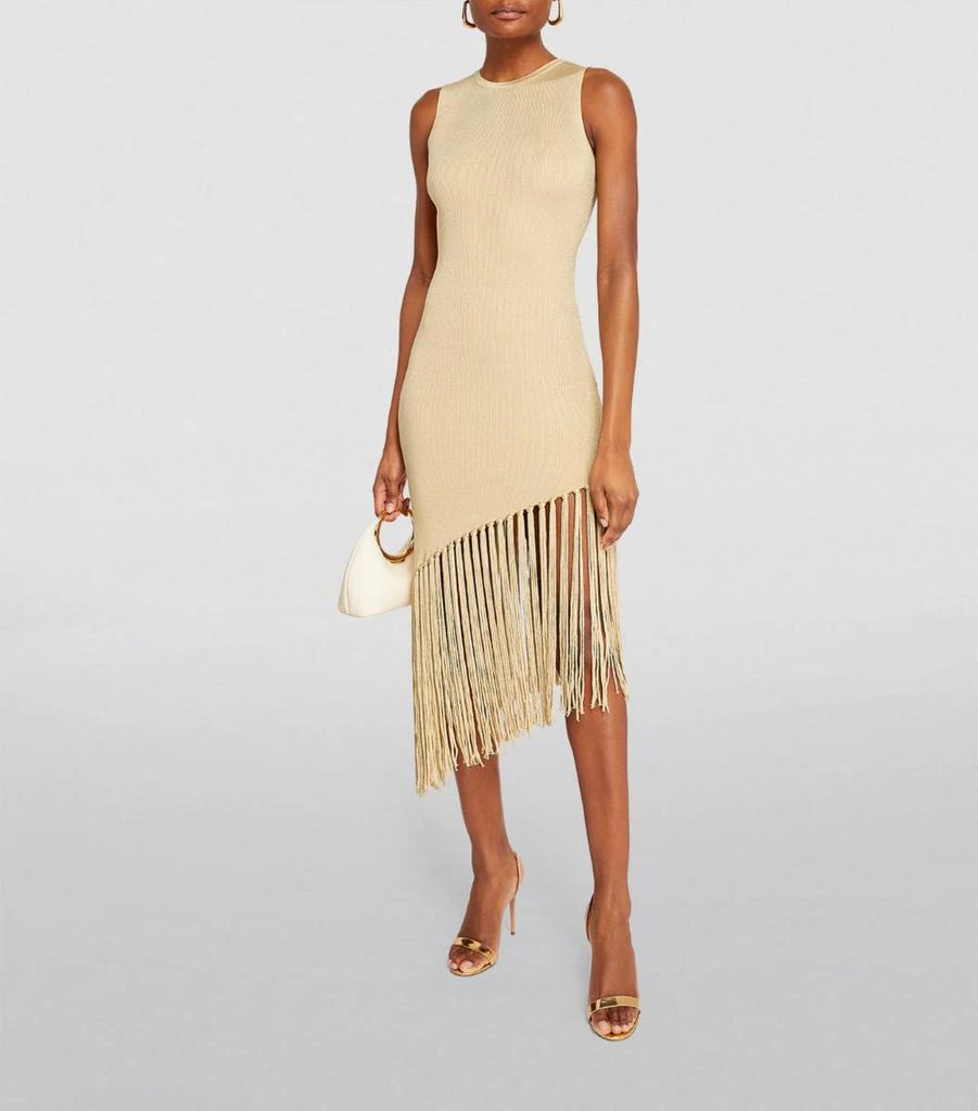Sandro Fringe-Detail Midi Dress 2
