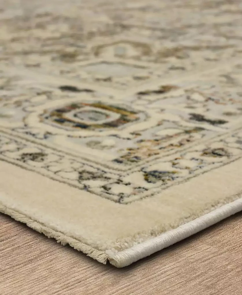 Karastan Divina Exalted 5' x 7'10" Area Rug 2