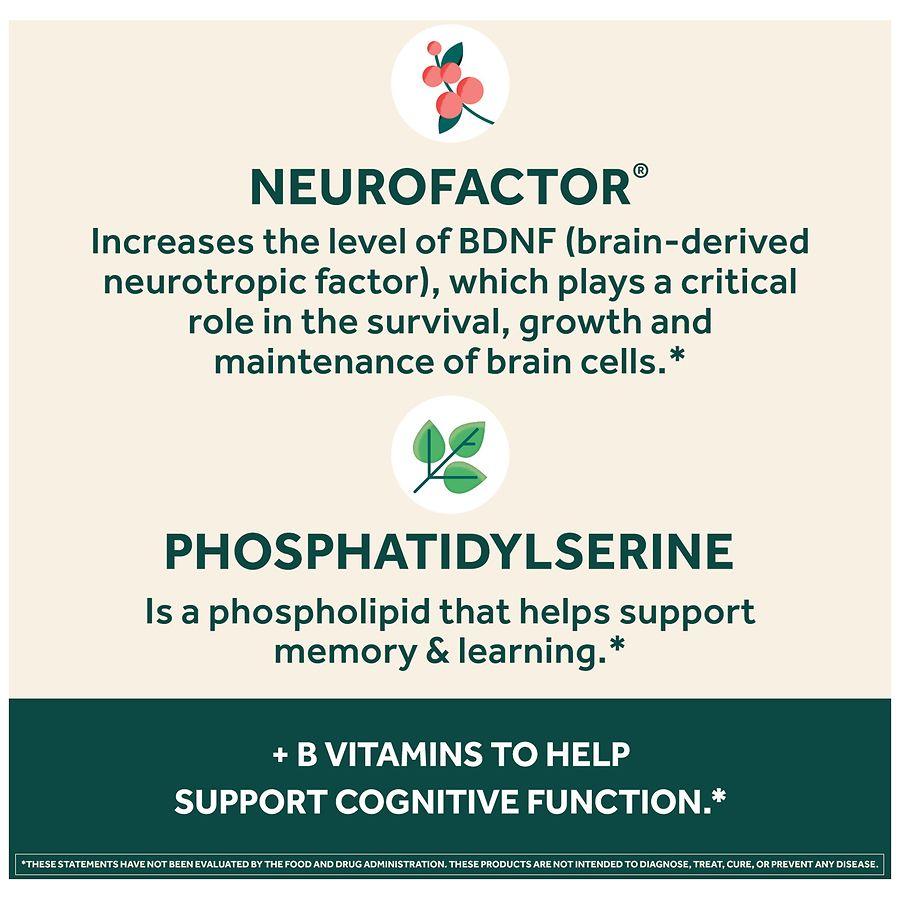 Neuriva Brain Health Supplement, Vitamins B12 & B6, Support for Memory and Focus